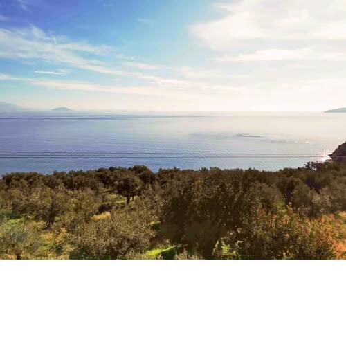 Charming Villa Amidst Olive Trees With Sea Views