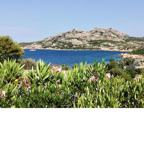 Charming villa on the sea
