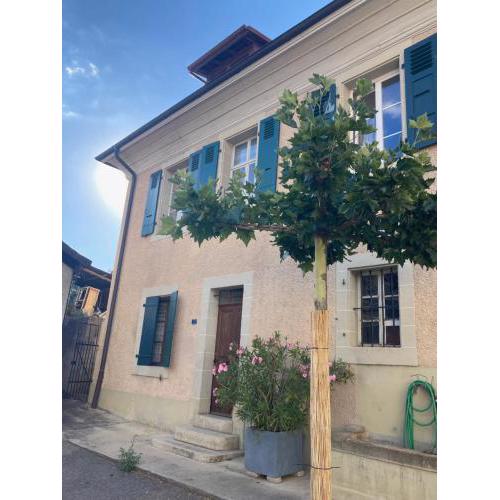 Charming Vinyard House - Lake Geneva