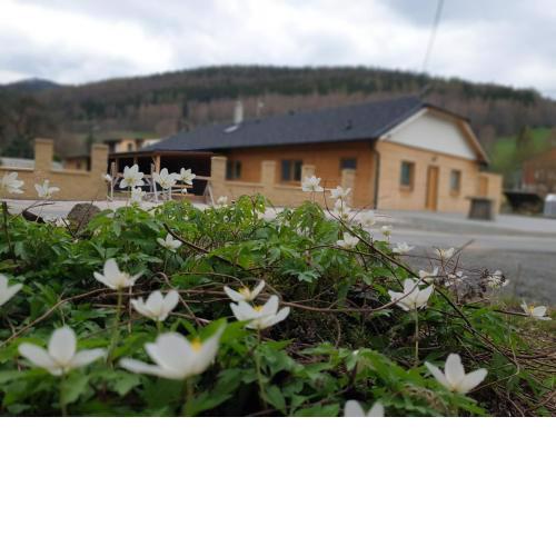 ChataTrucovna, wellness,sauna, vířivka,klid,relax,