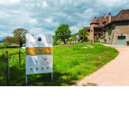 Château Rochefort