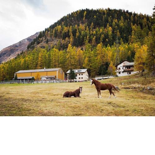 Chesa Formel - STALLA ENGIADINA