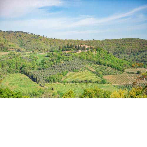 Chiantissima