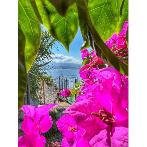 CILENTO SEA HOUSE