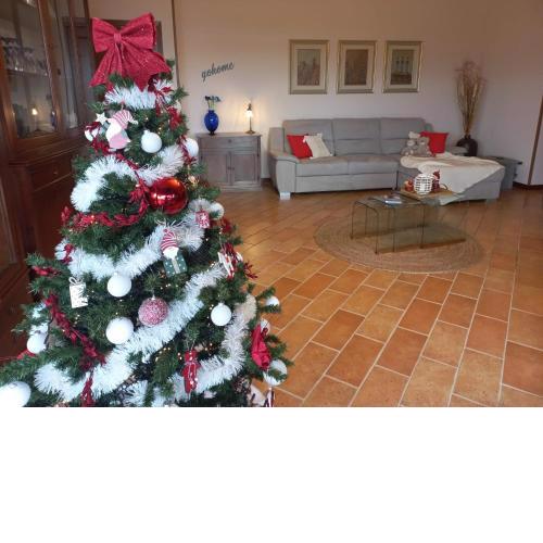 Cimarosa Home Pesaro Centro Storico by Yohome