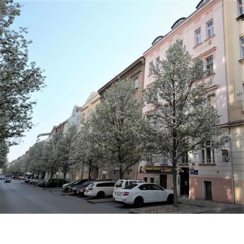 City Castle Apartment