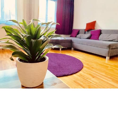 City Center Apartment