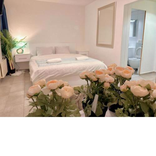 City Center Apartment