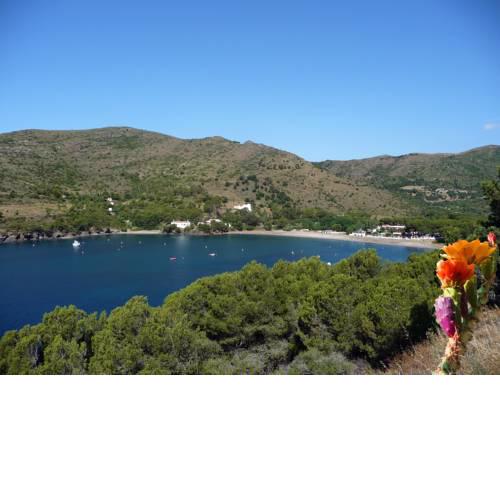 Ciudad De Vacaciones Cala Montjoi