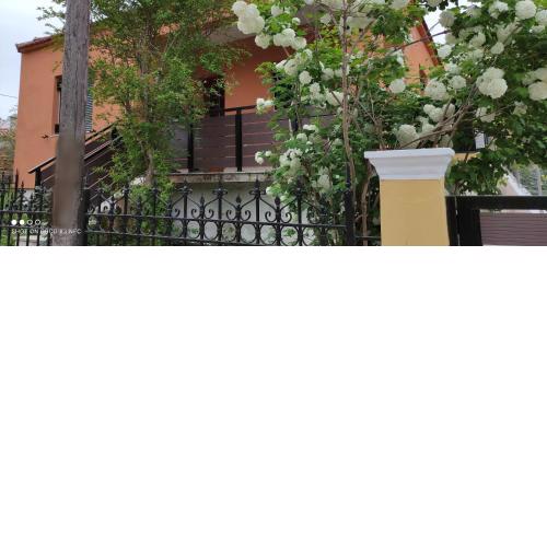 Classic House