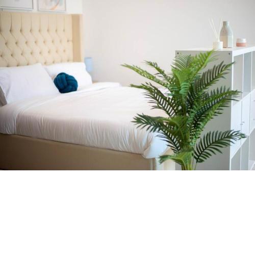 Classic Studio With Dubai Marina View