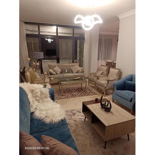 Classy furnished apartment in Zamalek Cairo