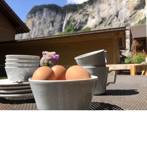 Clean and Comfy with Garden Terrace and Parking