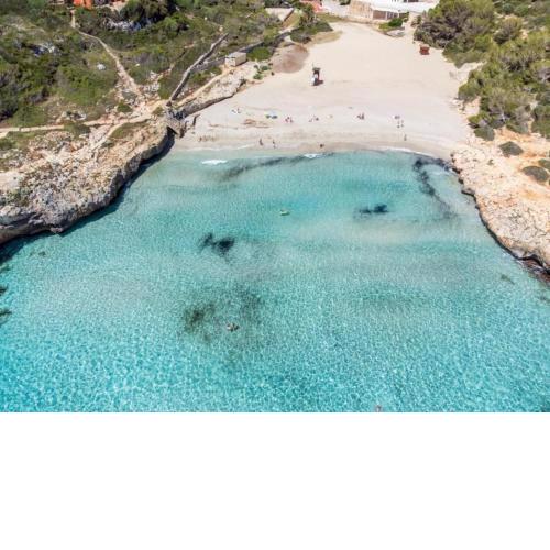 Club Cala Domingos