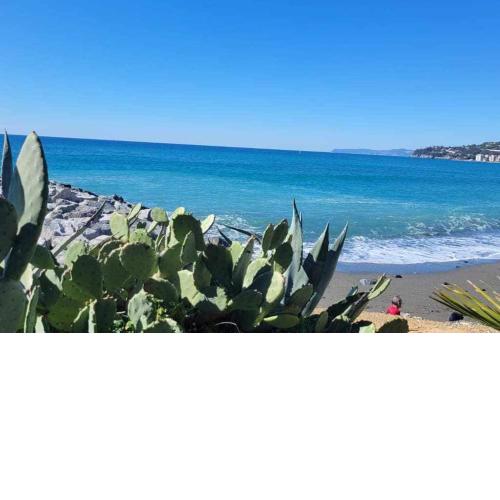 Cogobeach Gioiello #50mt dal mare#