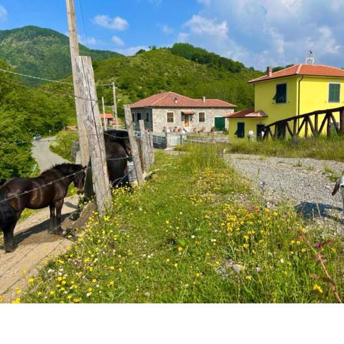 Colle del Faggio Nature Home
