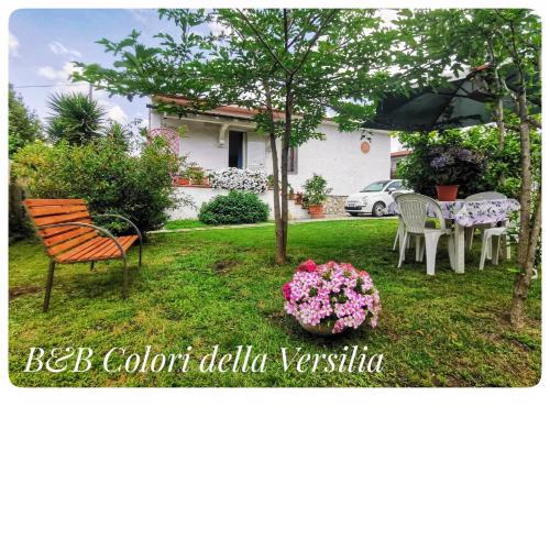 colori della versilia