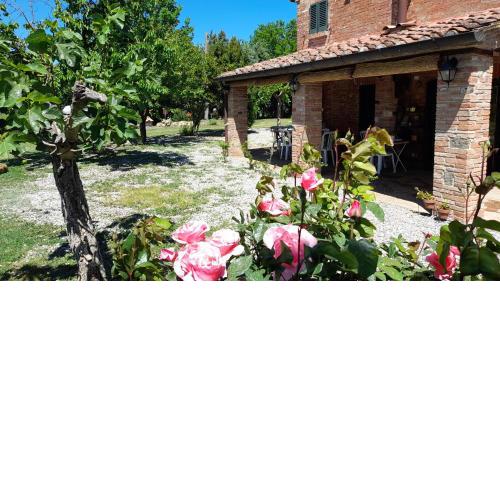 Come in agriturismo - Montepulciano - Vacation in Tuscany