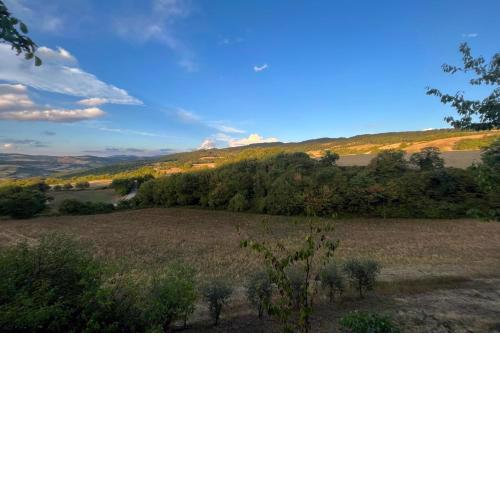 Comfort Suite Apt On The Countryside - Happy Rentals