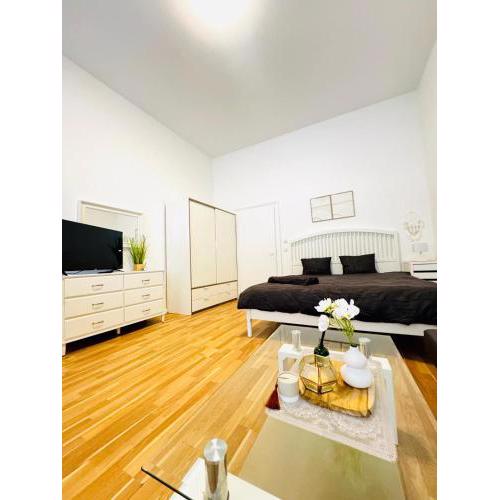 Comfortable Studio Apt, 15Minutes to Rathausplatz