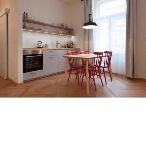 Comfy and Central apartment Letna