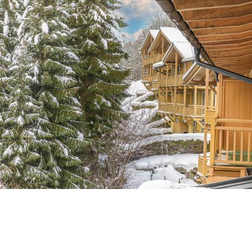 Comfy apartment in Viehhofen with hot tub
