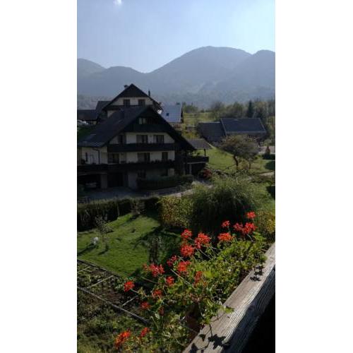 Comfy home in the center of Bohinj valley