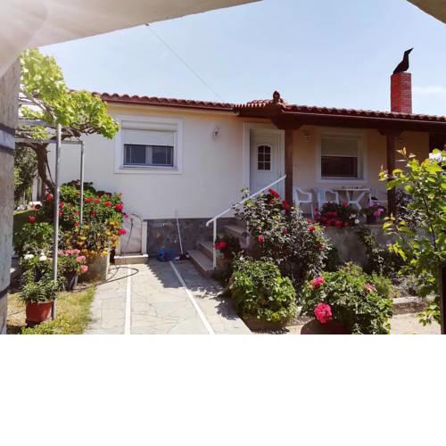 Comfy house Pedino