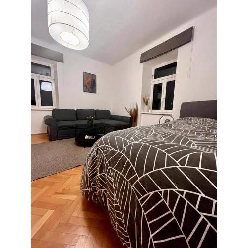 Comfy Room in Salzburg Center