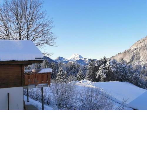 Confortable chalet avec magnifique vue en Gruyère.