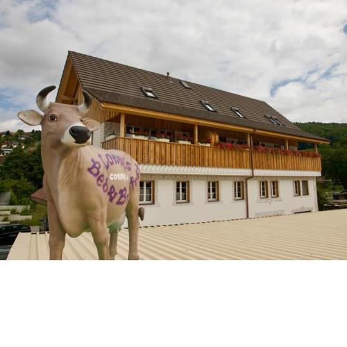 Conny's B&B