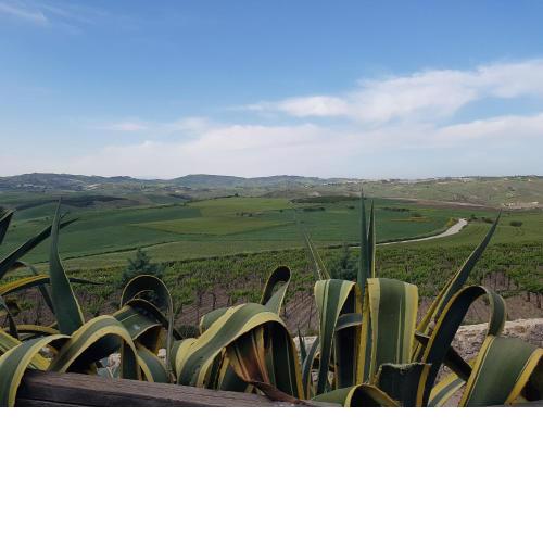 Contrada Gibbesi