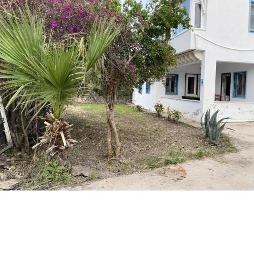 Convenient Flat Near Coast in Bodrum