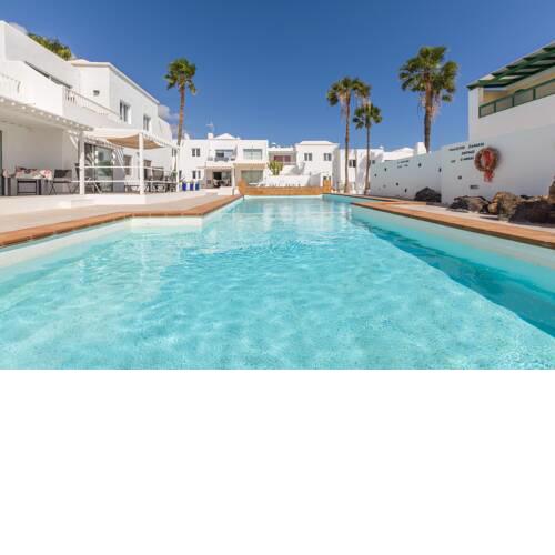 Conylanza Tabayba Blue