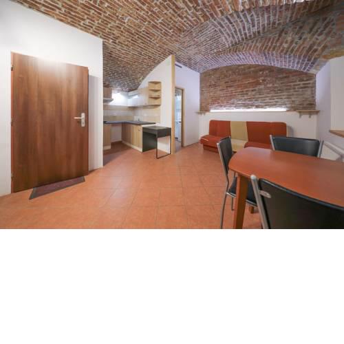 Cool bricky apartment close to center