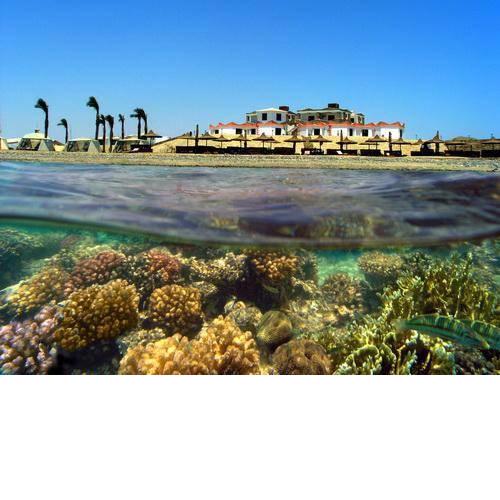 Coral Garden Resort