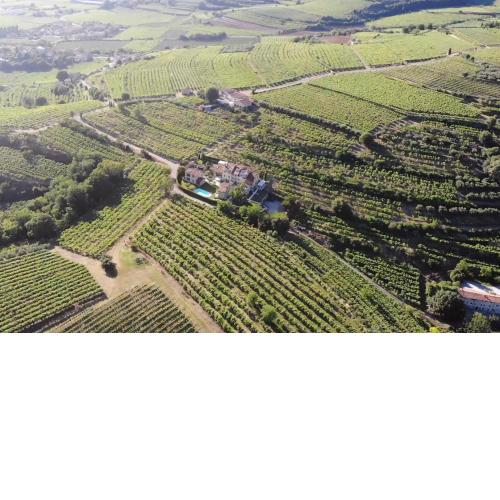 Corte dei Soavi-Family rooms & Apartments