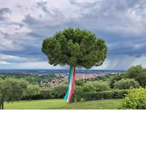 Corte San Mattia
