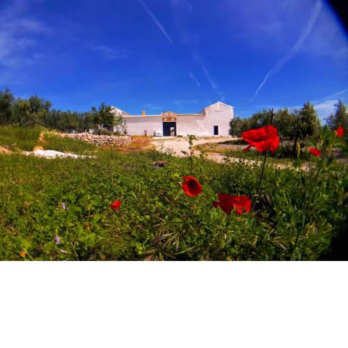 Cortijo Mezquetillas