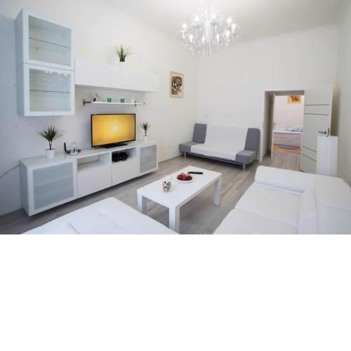Cosy 2BR Charming Wenceslas Sq Central Apt in DT