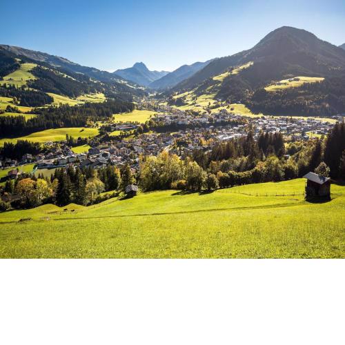 Cosy apartment in Tyrol for family