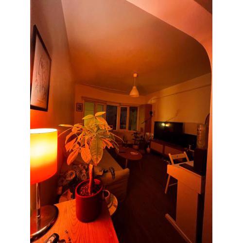 Cosy apartment near taksim square , cihangir