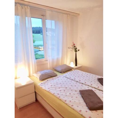 cosy convenient home for business people