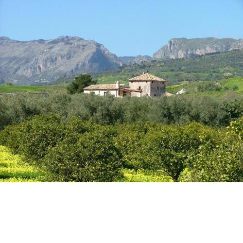 Cosy holiday home in the countryside of Stilo with garden