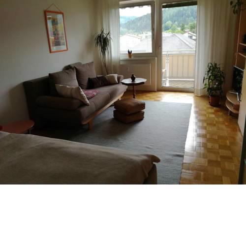Cosy little apartment near Redbull Ring