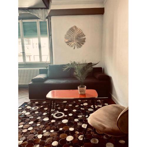Cosy Paquis