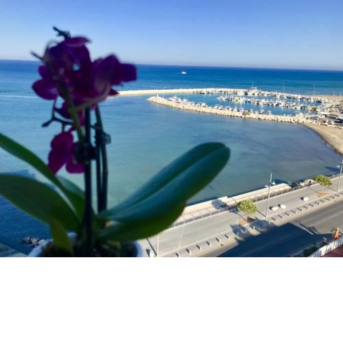 Cosy Seaview Flat