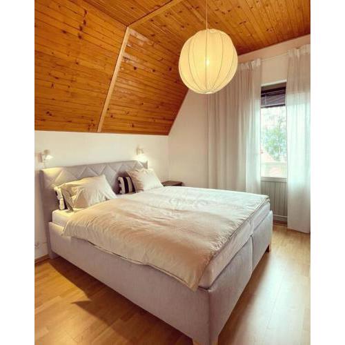Cottage in Domasa 2