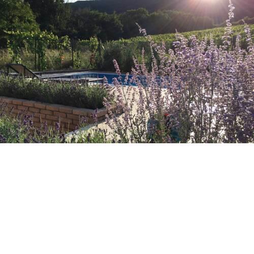 cottage with swimming pool