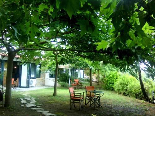 Country Art Studio Alkyoni